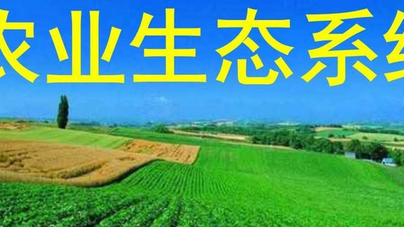 上海生鲜配送价格揭秘：影响因素与合理预算**