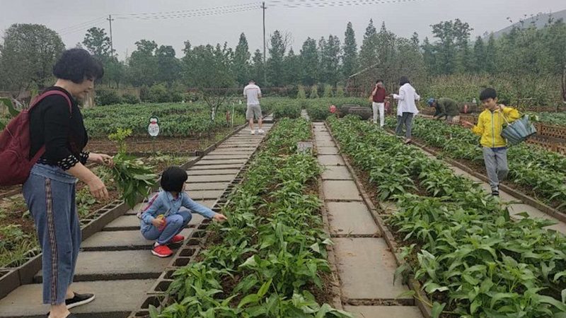 生鲜配送点长：岗位职责与运营策略