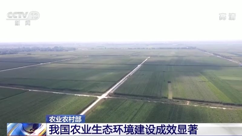 设施农业大棚：揭秘其造价构成与影响因素