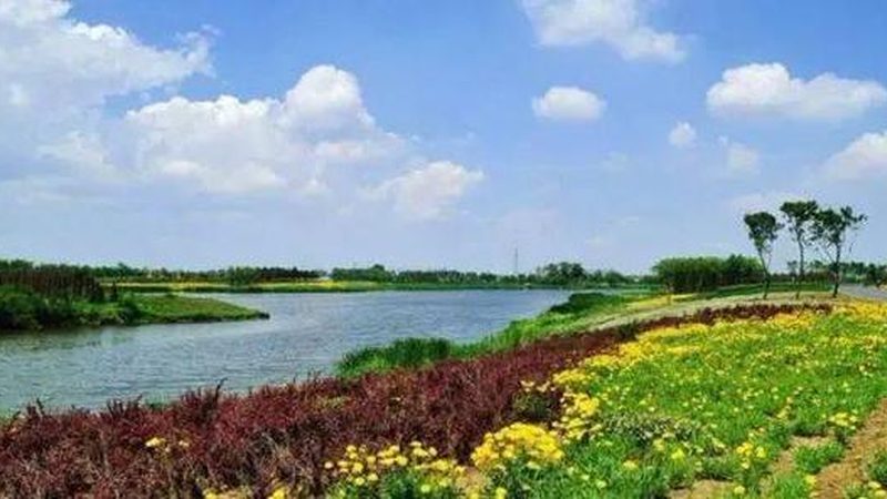 农产品配送平台：构建高效流通的桥梁