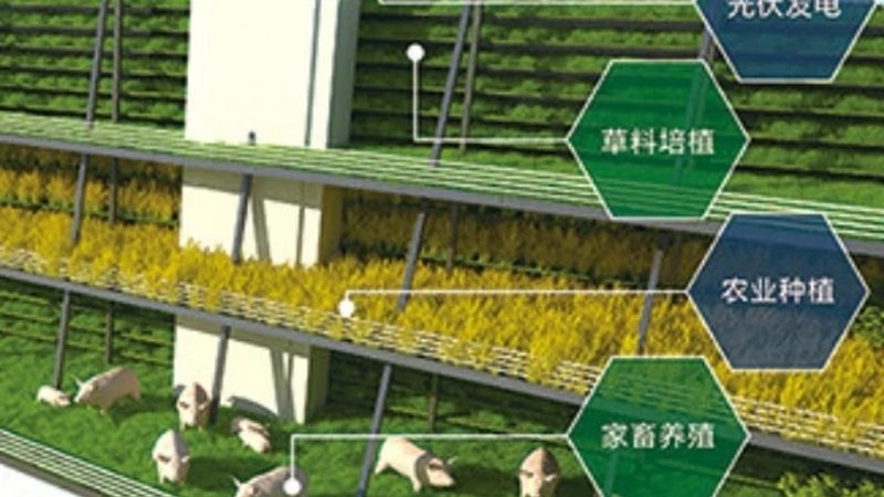 四川农资批发市场进货流程全解析