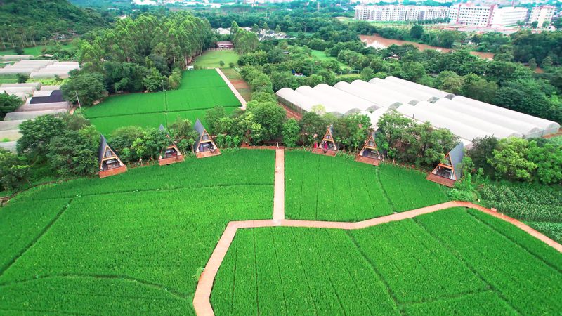 农民专业合作社代理记账兼职会计：关键职责与选择要点