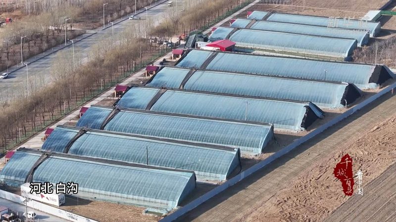 生态农业产品包装设计：标准与趋势
