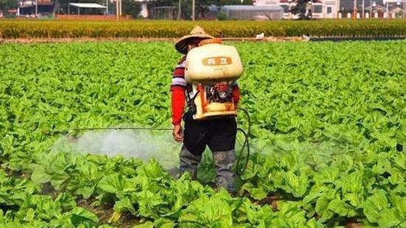 智慧农业监控系统：如何评估性价比与实用性