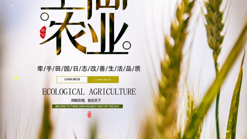 蔬菜大棚物联网监控系统：智能农业的未来守护者